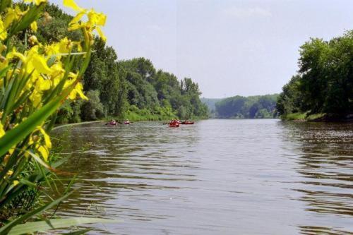 Listerfehrda Landgasthof Sonneneck מראה חיצוני תמונה